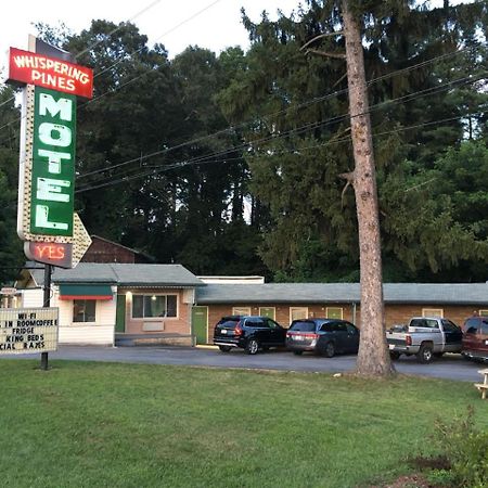 Whispering Pines Motel - Άσβιλ Εξωτερικό φωτογραφία