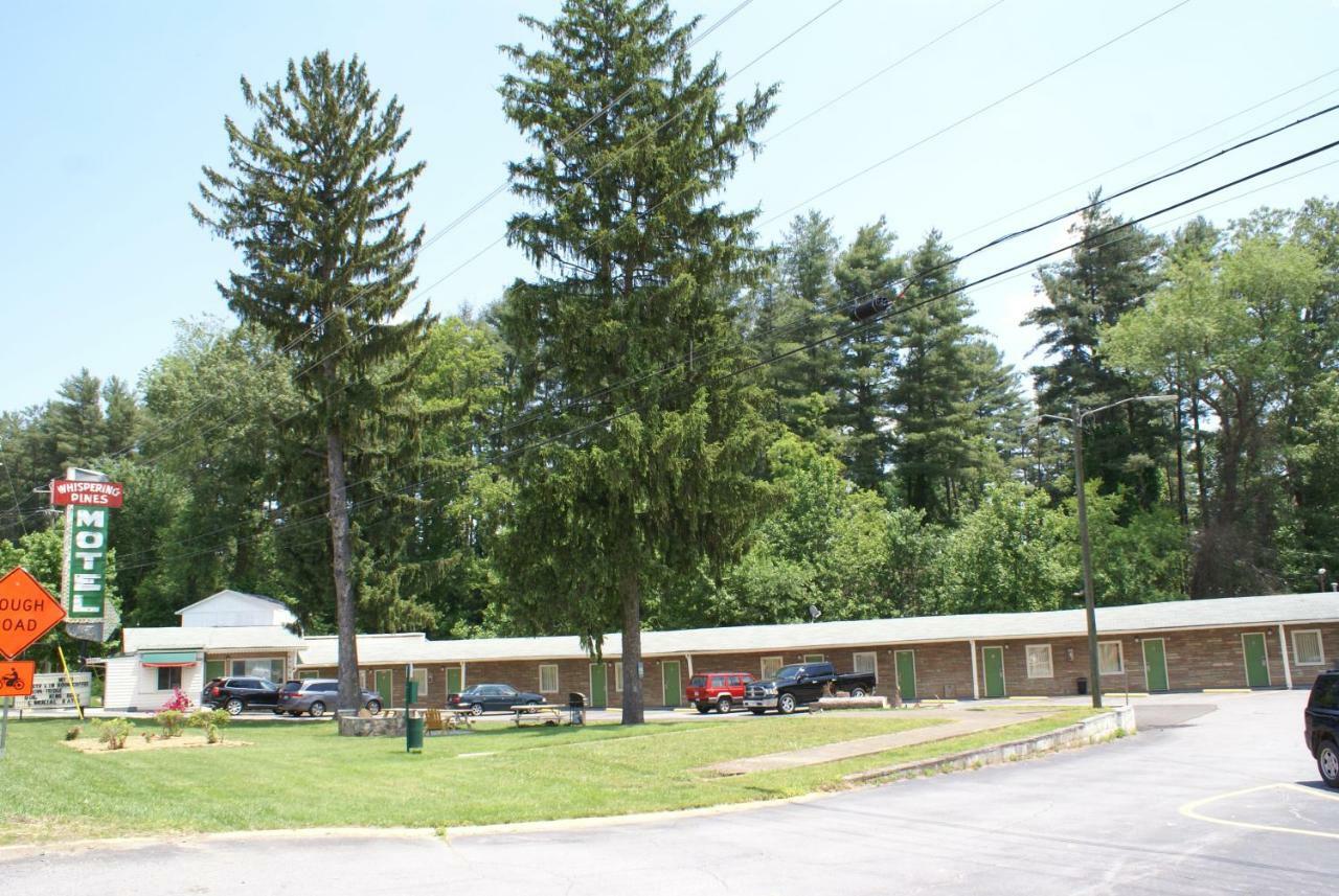 Whispering Pines Motel - Άσβιλ Εξωτερικό φωτογραφία